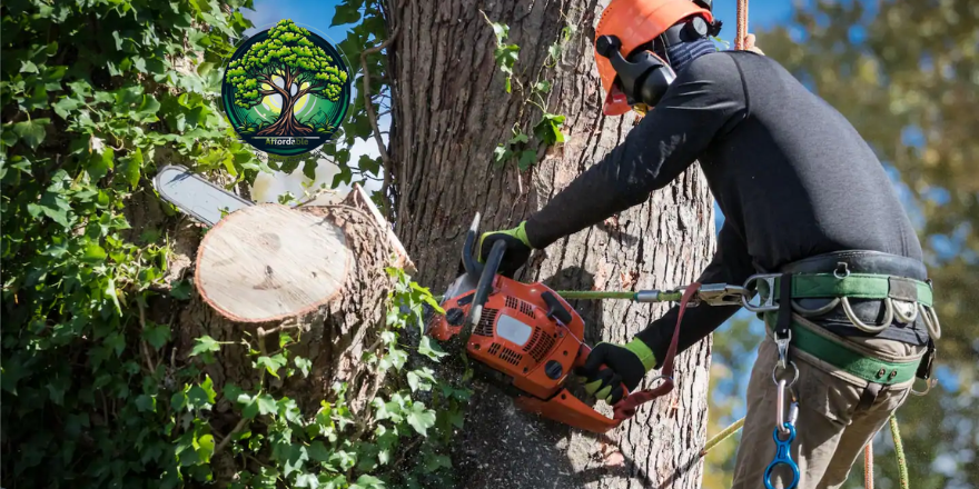 Cheap Tree Cutter