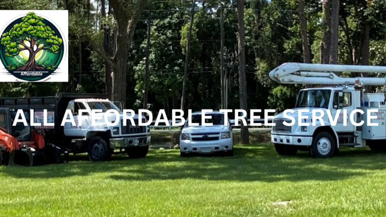 All affordable tree service
