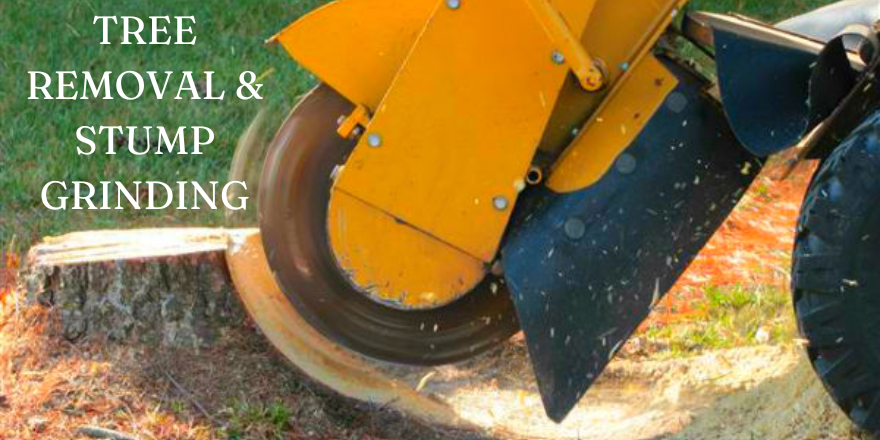 Tree Removal & Stump Grinding (2)