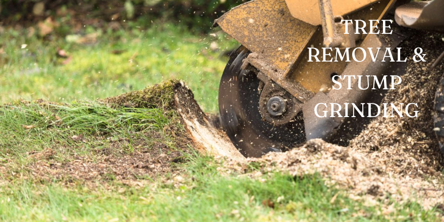 Tree Removal & Stump Grinding