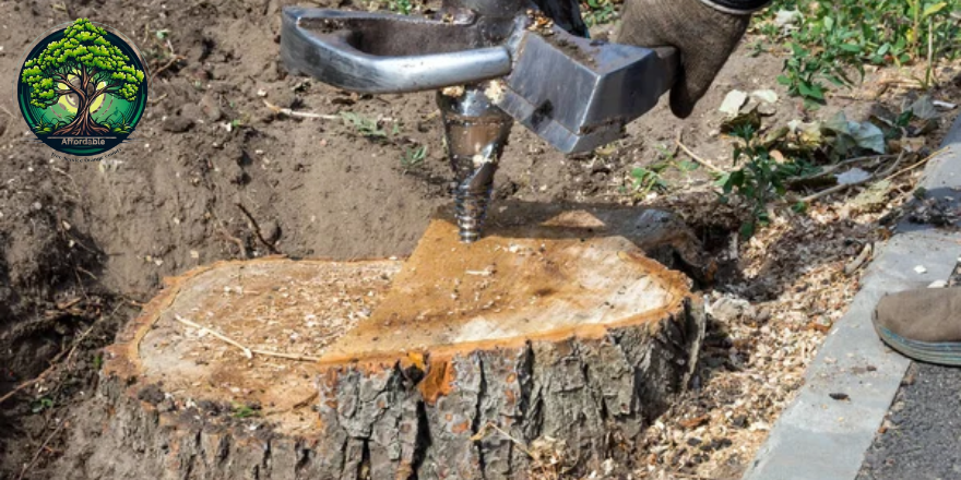 Cost for Tree Removal with Stump