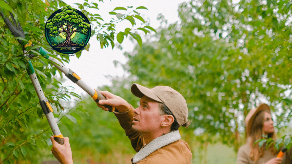 Discount Tree Trimming