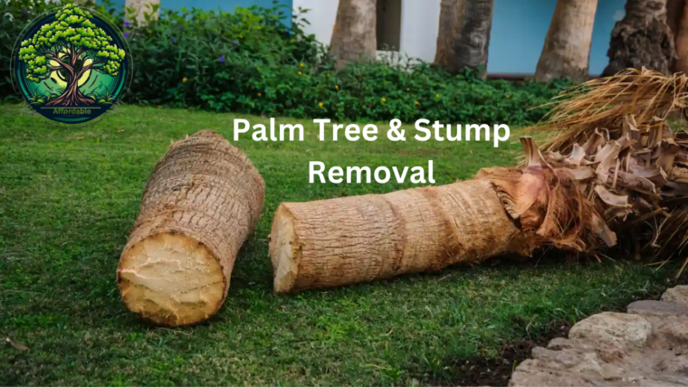 Palm Tree & Stump Removal