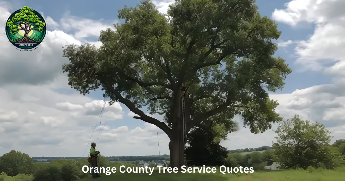 Orange County Tree Service Quotes