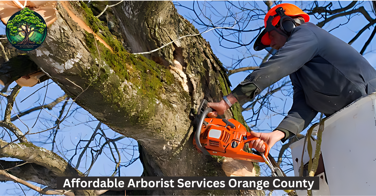 Affordable Arborist Services Orange County