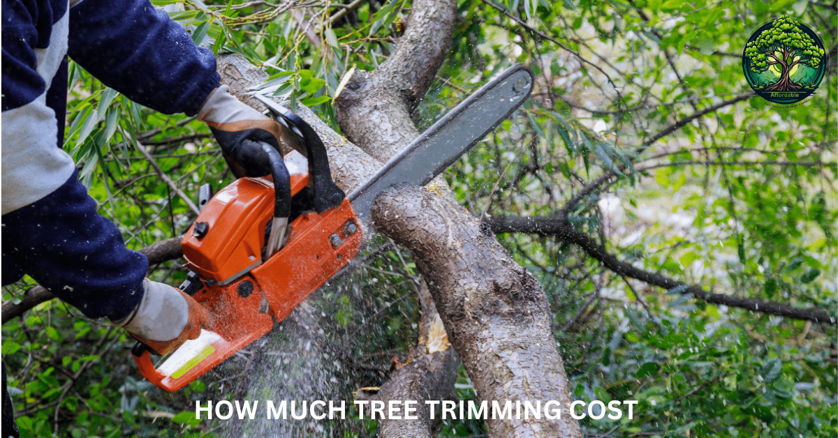 How Much Tree Trimming Cost