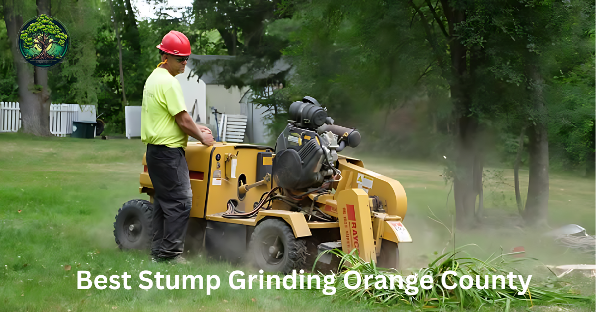 Best Stump Grinding Orange County