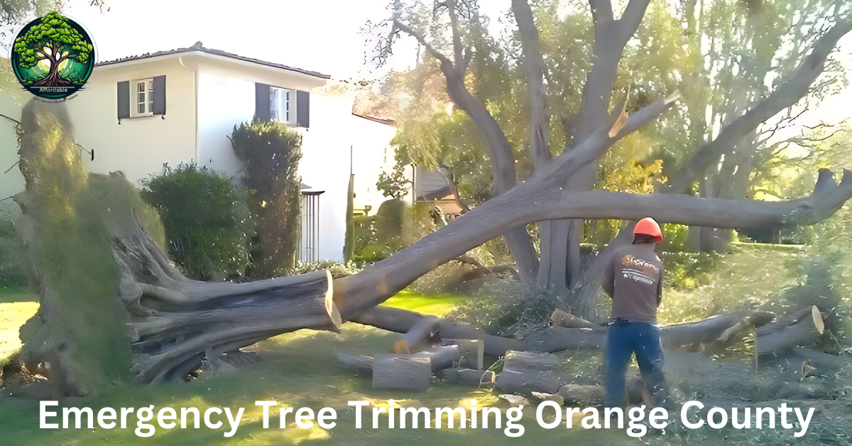 Emergency Tree Trimming Orange County