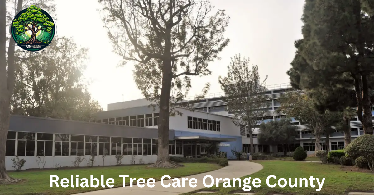 Reliable Tree Care Orange County