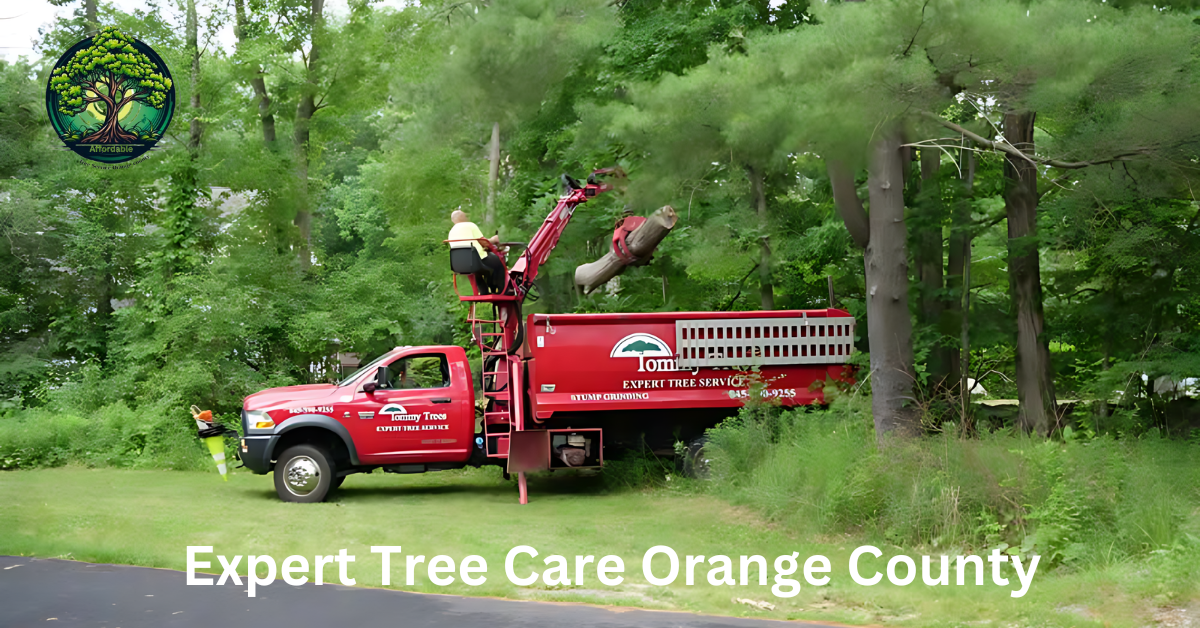 Expert Tree Care Orange County