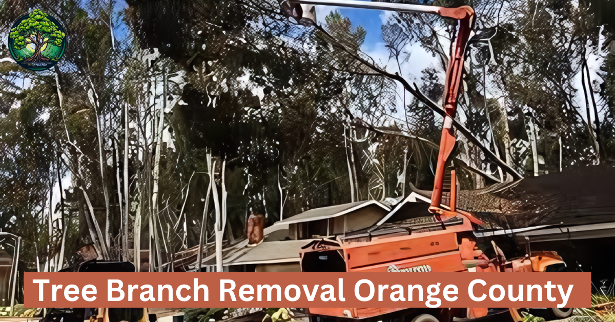 Tree Branch Removal Orange County