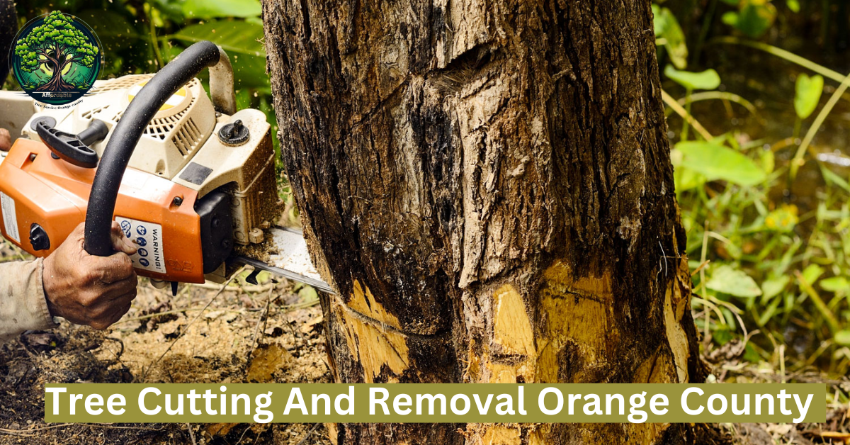  Tree Cutting And Removal Orange County