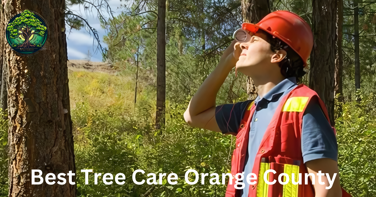 Best Tree Care Orange County