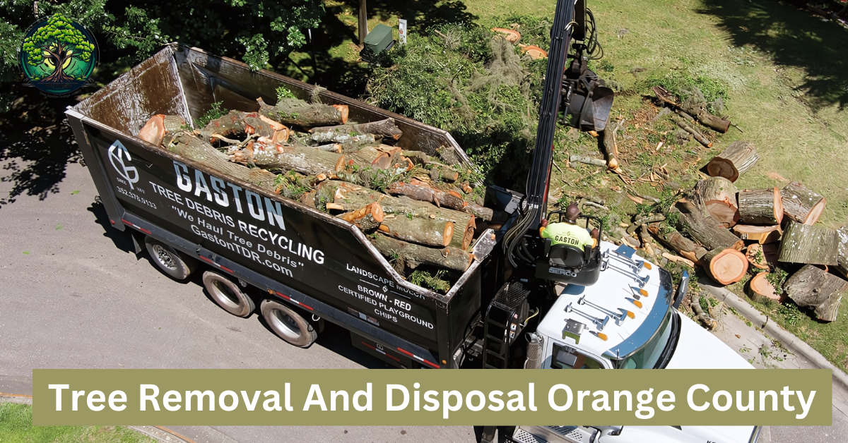 Tree Removal And Disposal Orange County