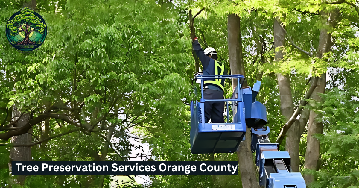 Tree Preservation Services Orange County