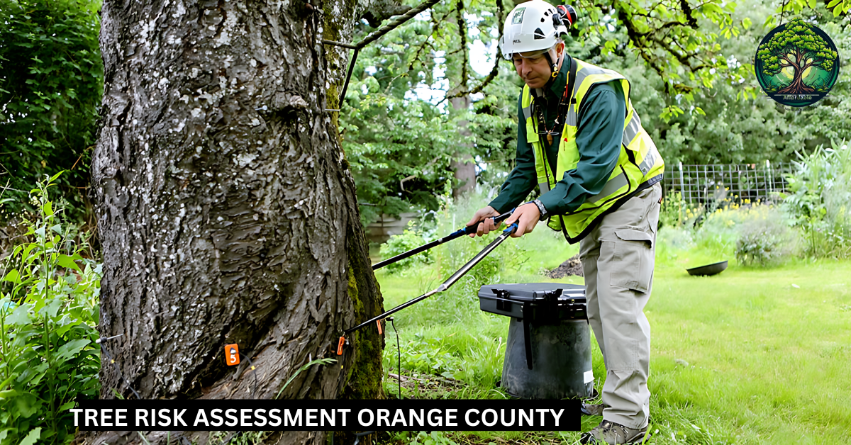 Tree Risk Assessment Orange County