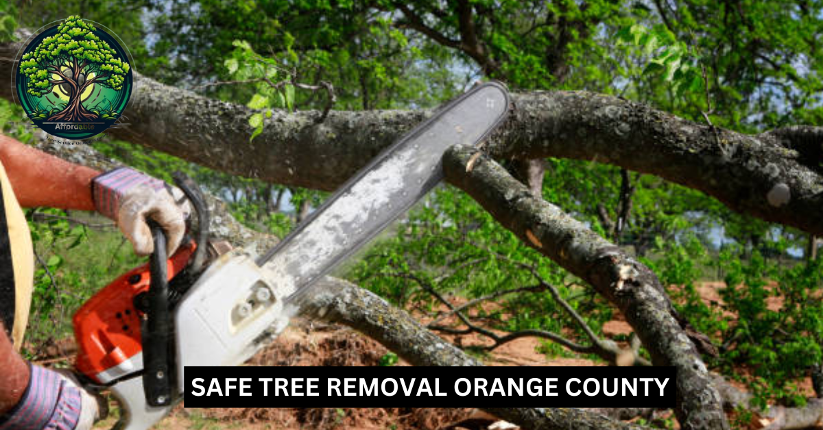 Safe Tree Removal Orange County