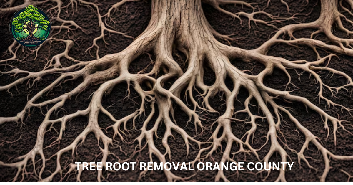 Tree Root Removal Orange County