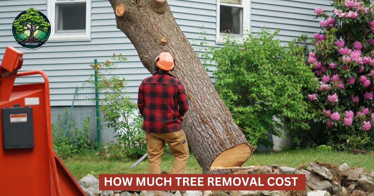 How Much Tree Removal Cost