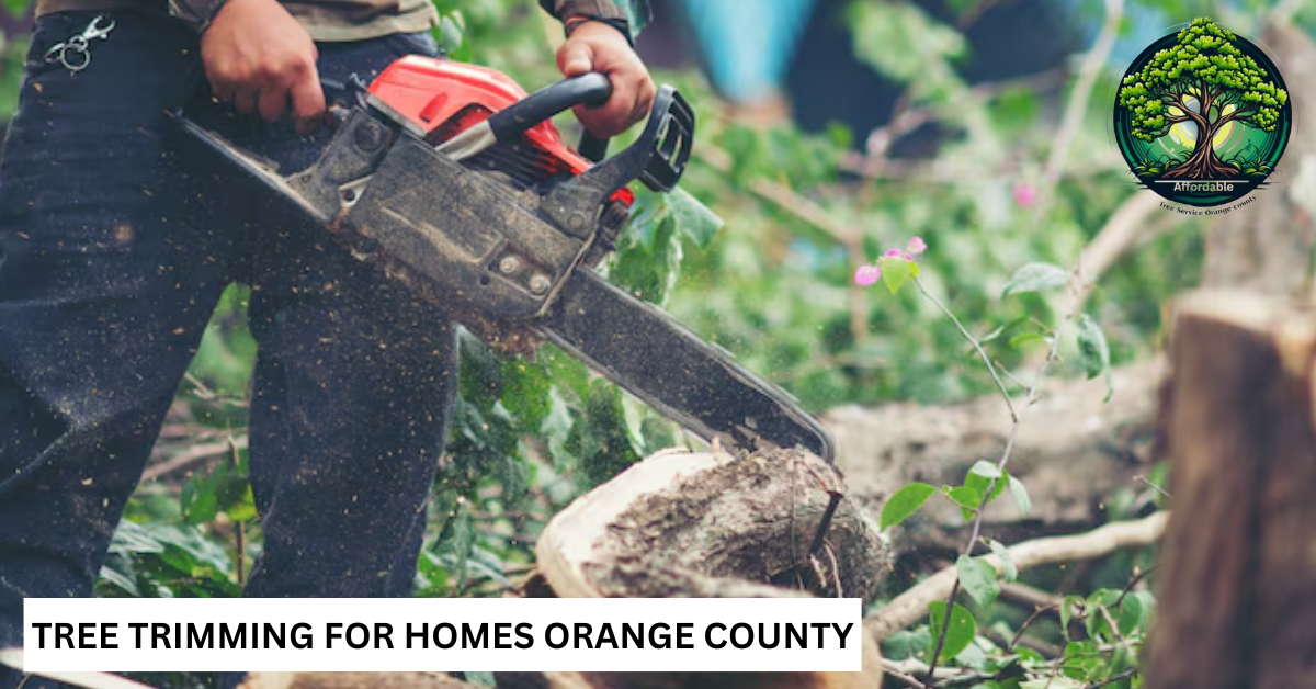 Tree Trimming For Homes Orange County