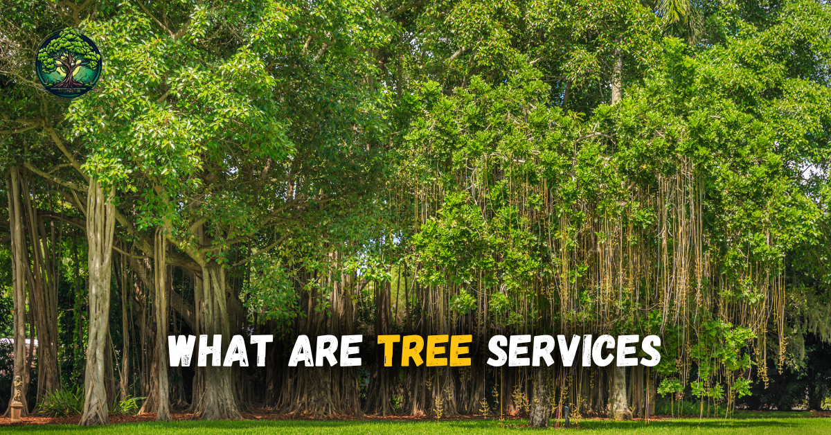 What Is Banyan Tree services