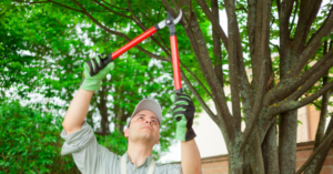 Bart Mcoy Tree Service